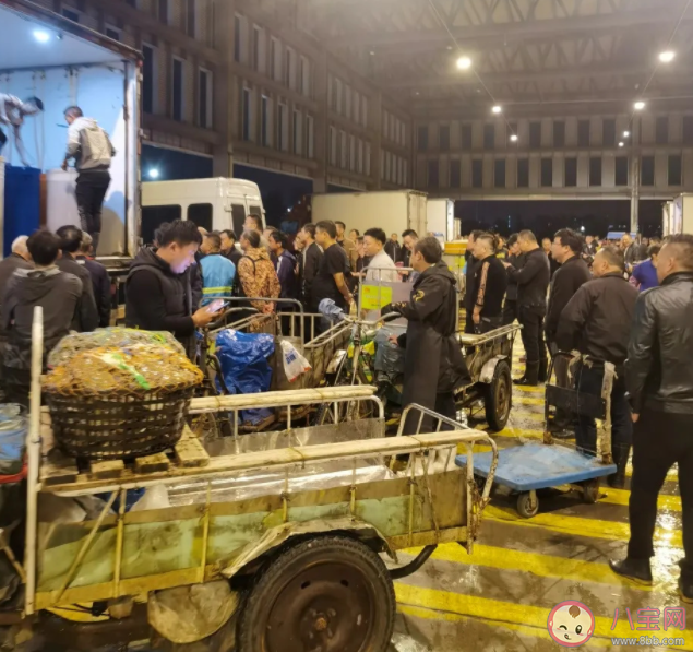 大閘蟹跌出白菜價是什么原因 大閘蟹應該如何挑選 大閘蟹跌出白菜價是什么原因 大閘蟹應該如何挑選