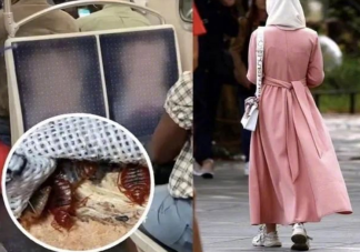 旅行中如何防止床虱跟回家 被床虱叮咬如何處理