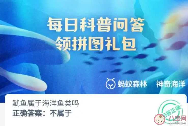 魷魚屬于海洋魚類嗎 神奇海洋11月14日答案 魷魚屬于海洋魚類嗎 神奇海洋11月14日答案