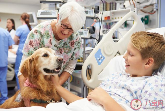 猜一猜新興職業動物輔助療愈師主要是療愈哪類群體 螞蟻新村11月15日答案 猜一猜新興職業動物輔助療愈師主要是療愈哪類群體 螞蟻新村11月15日答案