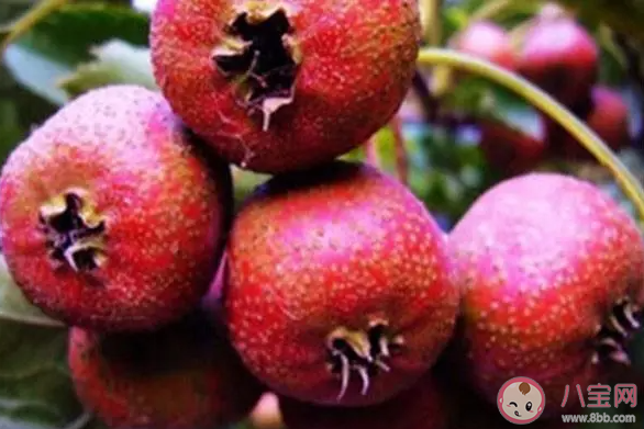 山楂板栗不能混著吃嗎 吃山楂后不能吃什么