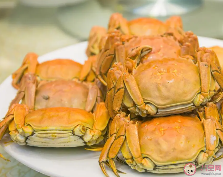 大閘蟹跌破10元一只是怎么回事 怎樣挑選大閘蟹