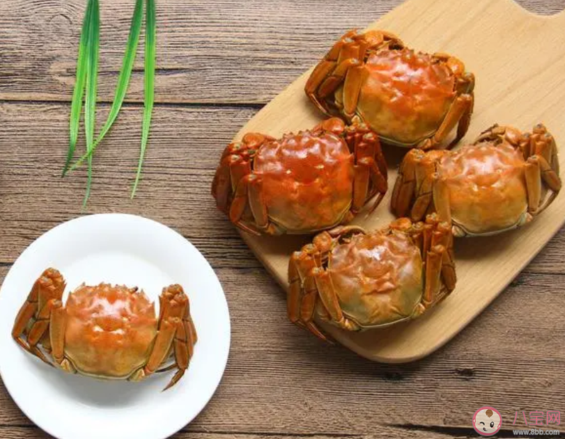 大閘蟹跌破10元一只是怎么回事 怎樣挑選大閘蟹