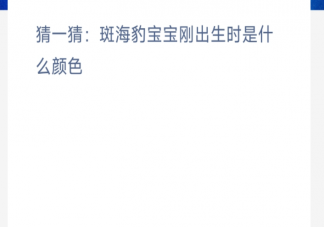 猜一猜斑海豹寶寶剛出生時是什么顏色 神奇海洋11月16日答案