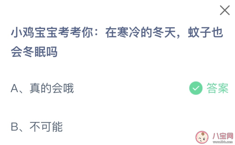 在寒冷的冬天蚊子也會冬眠嗎 螞蟻莊園11月18日答案