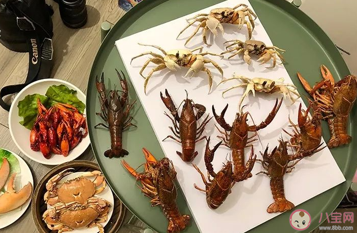 你知道嗎人們常見的蝦蟹屬于什么 神奇海洋11月18日答案