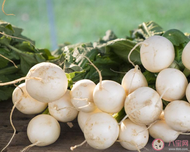 肺炎支原體感染愈后多吃白色食物 哪些食品屬于白色食物