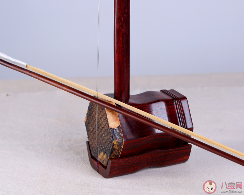 以下哪種樂(lè)器被視為二胡的前身 螞蟻新村11月20日答案 以下哪種樂(lè)器被視為二胡的前身 螞蟻新村11月20日答案