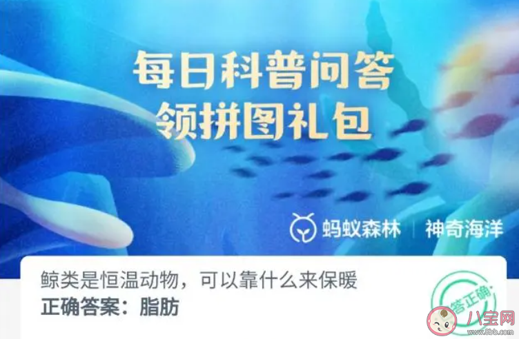 鯨類是恒溫動物可以靠什么來保暖 神奇海洋11月21日答案 鯨類是恒溫動物可以靠什么來保暖 神奇海洋11月21日答案