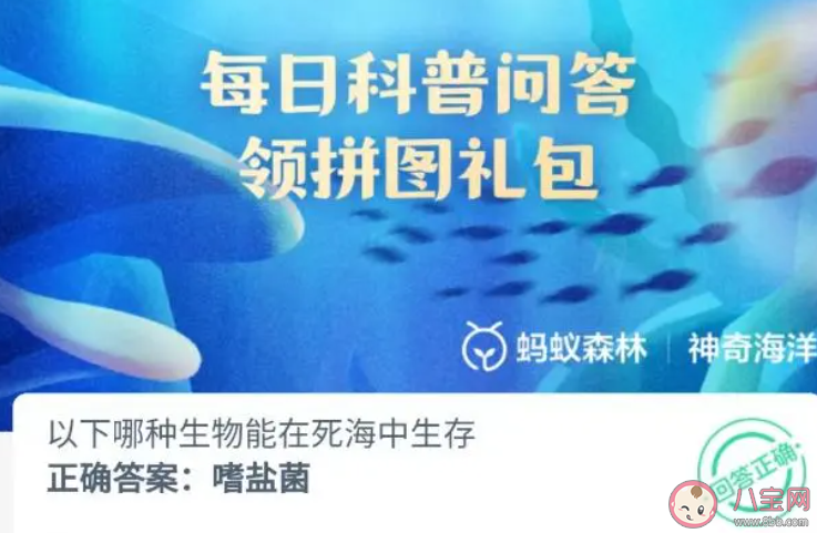 以下哪種生物能在死海中生存 神奇海洋11月22日答案 以下哪種生物能在死海中生存 神奇海洋11月22日答案