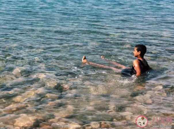 以下哪種生物能在死海中生存 神奇海洋11月22日答案 以下哪種生物能在死海中生存 神奇海洋11月22日答案