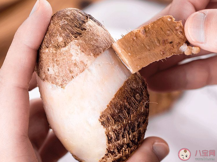 為什么剝洗芋頭時最好戴上手套 螞蟻莊園11月23日答案介紹 為什么剝洗芋頭時最好戴上手套 螞蟻莊園11月23日答案介紹