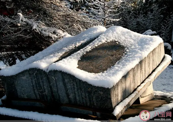 成語冬寒抱冰常用來形容什么 螞蟻莊園11月23日答案最新 成語冬寒抱冰常用來形容什么 螞蟻莊園11月23日答案最新