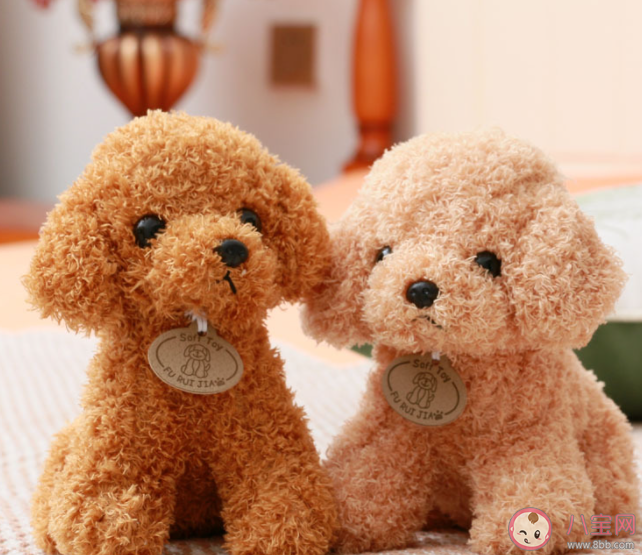 為什么毛絨玩具越賣越貴 年輕人為什么愛上毛絨玩具 為什么毛絨玩具越賣越貴 年輕人為什么愛上毛絨玩具