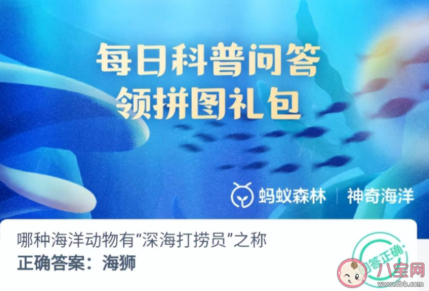 哪種海洋動物有深海打撈員之稱 神奇海洋11月23日答案 哪種海洋動物有深海打撈員之稱 神奇海洋11月23日答案