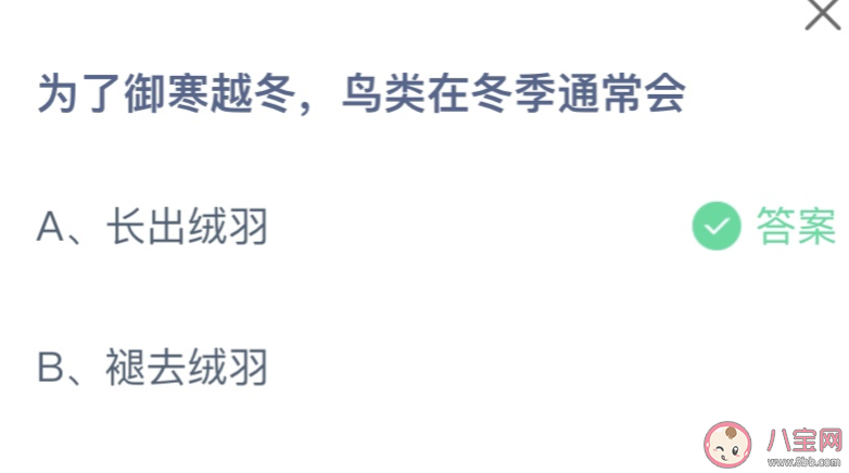 為了御寒越冬鳥類在冬季通常會 螞蟻莊園11月24日答案 為了御寒越冬鳥類在冬季通常會 螞蟻莊園11月24日答案