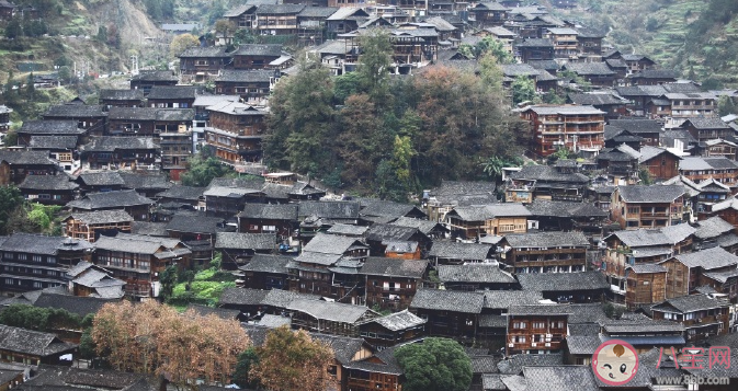 我國唯一沒有平原的省份你知道是哪里嗎 螞蟻莊園11月24日答案 我國唯一沒有平原的省份你知道是哪里嗎 螞蟻莊園11月24日答案