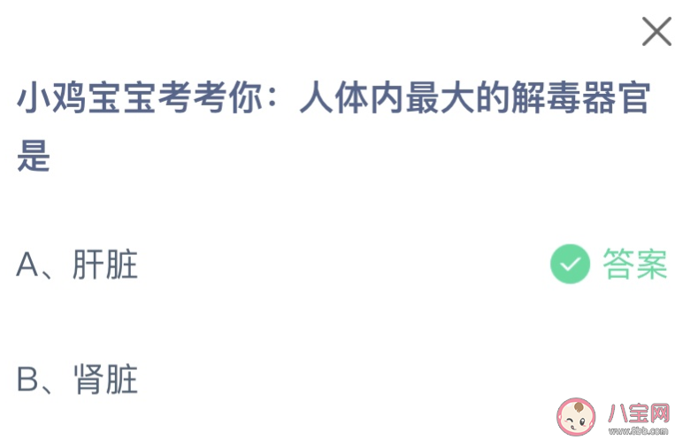 人體內最大的解毒器官是什么 螞蟻莊園11月25日答案 人體內最大的解毒器官是什么 螞蟻莊園11月25日答案