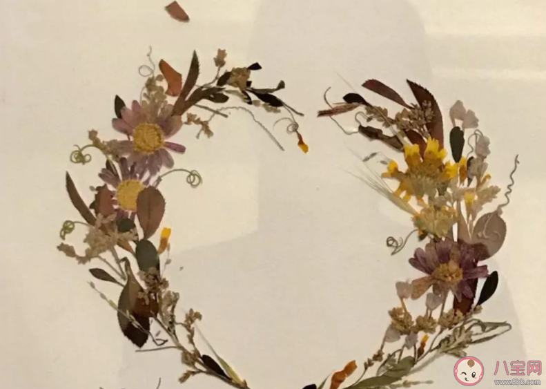 以下哪一項是押花師的工作內容 螞蟻新村11月27日答案 以下哪一項是押花師的工作內容 螞蟻新村11月27日答案