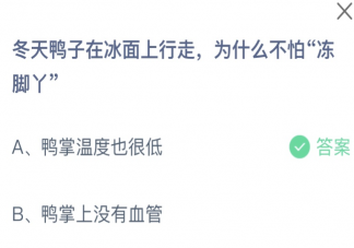 冬天鴨子在冰面上行走為什么不怕凍腳丫 螞蟻莊園11月28日答案