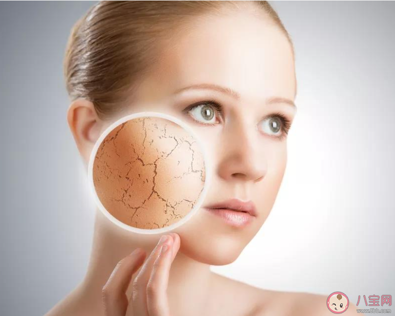 冬季皮膚容易干燥發癢以下哪種辦法有助于改善這種情況 螞蟻莊園11月29日答案 冬季皮膚容易干燥發癢以下哪種辦法有助于改善這種情況 螞蟻莊園11月29日答案