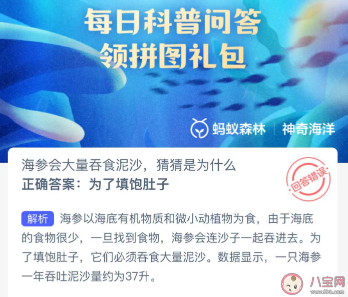 海參會大量吞食泥沙猜猜是為什么 神奇海洋11月30日答案 海參會大量吞食泥沙猜猜是為什么 神奇海洋11月30日答案