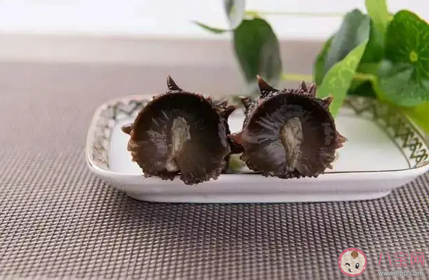 海參會大量吞食泥沙猜猜是為什么 神奇海洋11月30日答案 海參會大量吞食泥沙猜猜是為什么 神奇海洋11月30日答案