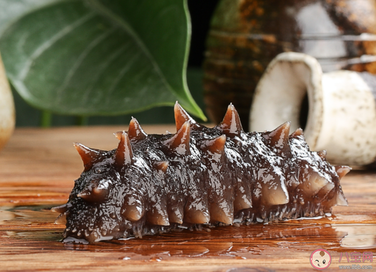 以下關(guān)于海參的說法哪個是正確的 神奇海洋12月1日答案 以下關(guān)于海參的說法哪個是正確的 神奇海洋12月1日答案