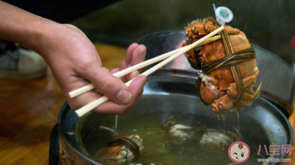 今年人們為啥不愛買大閘蟹了 大閘蟹不受歡迎的原因有哪些