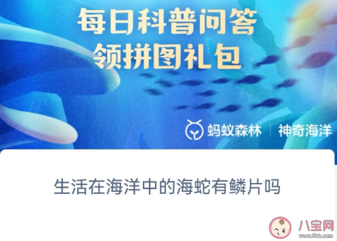 生活在海洋中的海蛇有鱗片嗎 神奇海洋12月4日答案