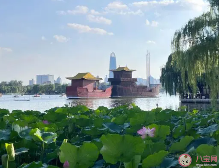 我國哪個城市有四面荷花三面柳一城山色半城湖的美譽 螞蟻莊園12月5日答案
