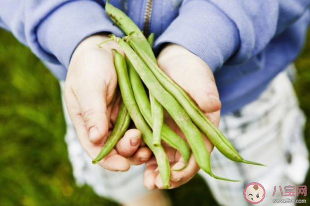 17歲女孩吃下半斤生豆角中毒是怎么回事 生豆角吃了會怎樣