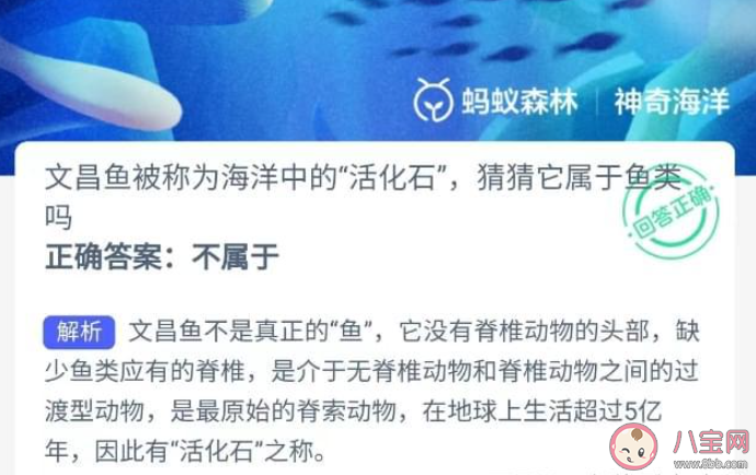 文昌魚被稱為海洋中的活化石猜猜它屬于魚類嗎 神奇海洋12月5日答案