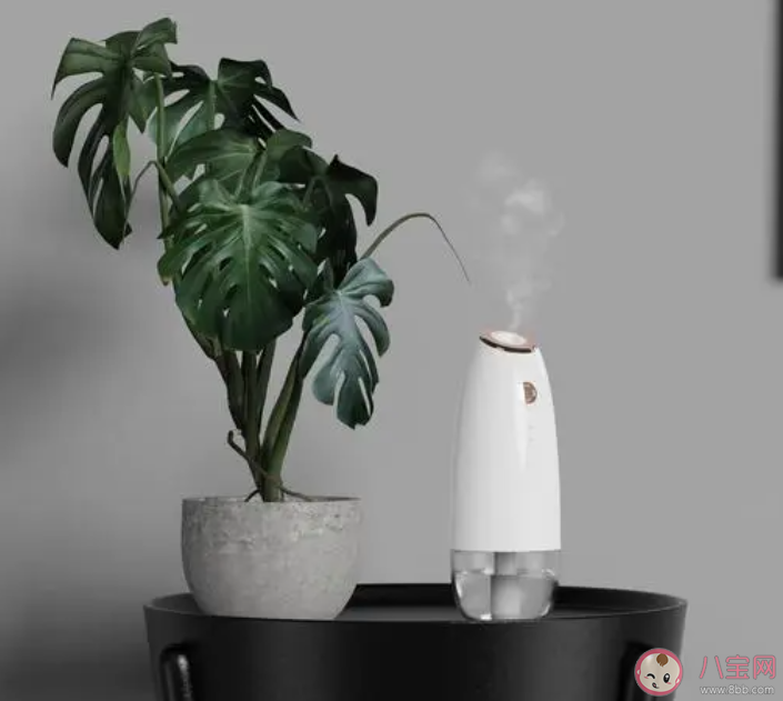 不當使用加濕器可能導致呼吸道感染嗎 如何正確使用加濕器