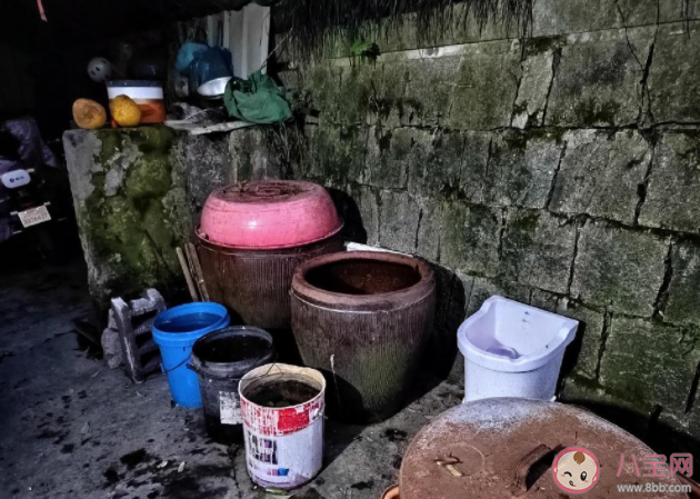 腳越臭踩的冬腌菜越香嗎 腳踩的冬腌菜還能吃嗎