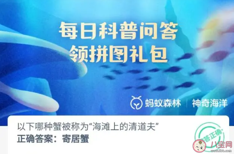 以下哪種蟹被稱為海灘上的清道夫 神奇海洋12月6日答案