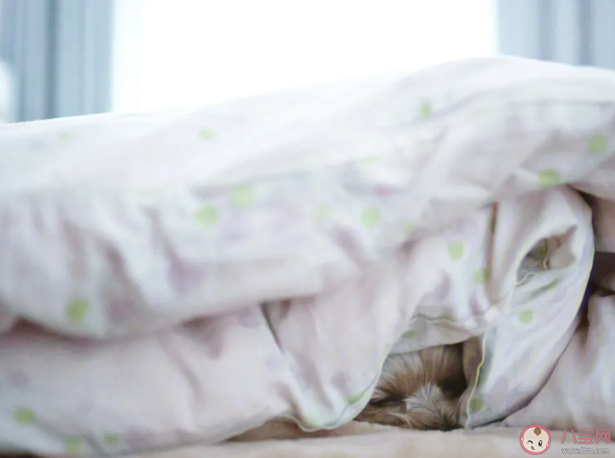 被子怎么蓋更暖和 什么樣的被子更適合你