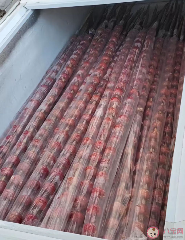 東北現一米八冰糖葫蘆是怎么回事 冰糖葫蘆能經常吃嗎 東北現一米八冰糖葫蘆是怎么回事 冰糖葫蘆能經常吃嗎