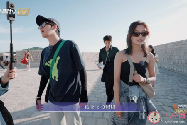 《花兒與少年絲路季》觀后感 《花兒與少年絲路季》評價怎么樣