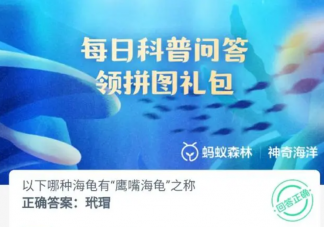 以下哪種海龜有鷹嘴海龜之稱 神奇海洋12月8日答案
