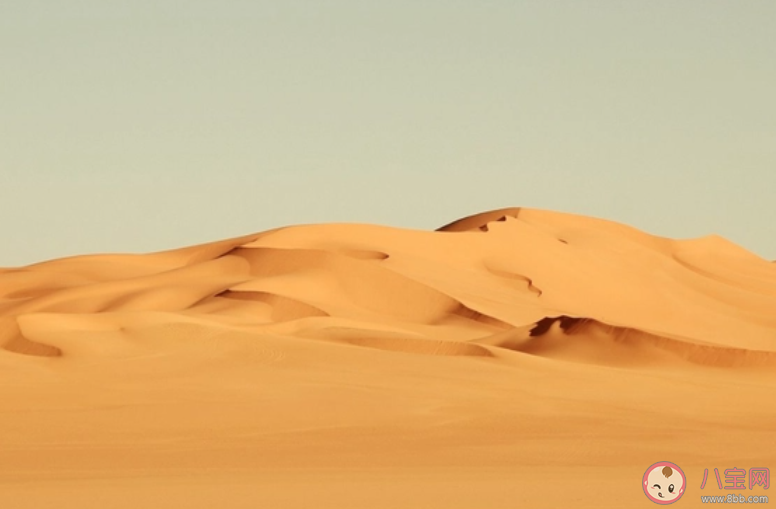 瀚海闌干百丈冰愁云慘淡萬里凝是哪里的嚴(yán)寒景象 螞蟻莊園12月12日答案 瀚海闌干百丈冰愁云慘淡萬里凝是哪里的嚴(yán)寒景象 螞蟻莊園12月12日答案