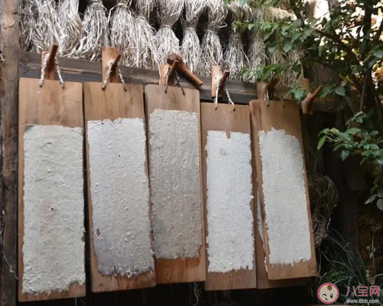 東巴紙制造技藝是我國哪個少數(shù)民族的傳統(tǒng)工藝 螞蟻新村12月12日答案 東巴紙制造技藝是我國哪個少數(shù)民族的傳統(tǒng)工藝 螞蟻新村12月12日答案