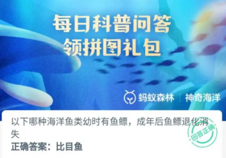 以下哪種海洋魚類幼時有魚瞟成年后魚瞟退化消失 神奇海洋12月12日答案