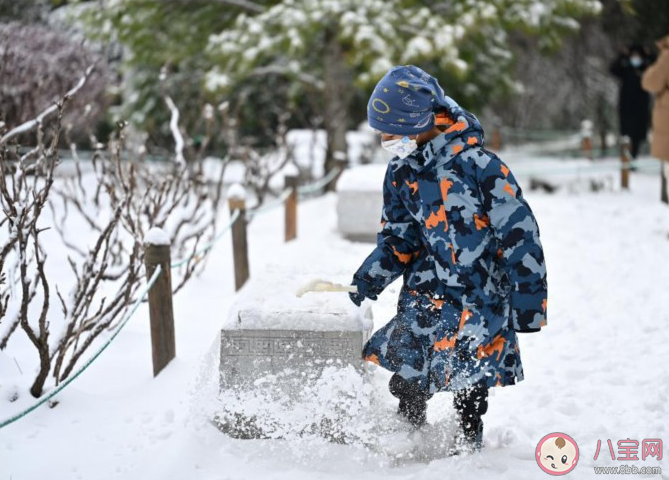 落盡瓊花天不惜封它梅蕊玉無香描述的是哪種冬季景色 螞蟻莊園12月14日答案 落盡瓊花天不惜封它梅蕊玉無香描述的是哪種冬季景色 螞蟻莊園12月14日答案
