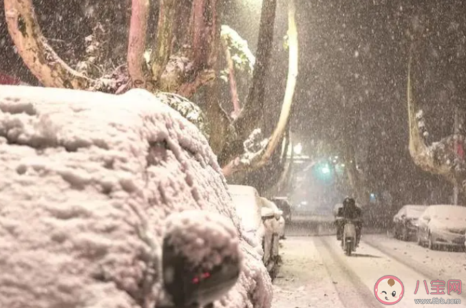 落盡瓊花天不惜封它梅蕊玉無香描述的是哪種冬季景色 螞蟻莊園12月14日答案 落盡瓊花天不惜封它梅蕊玉無香描述的是哪種冬季景色 螞蟻莊園12月14日答案