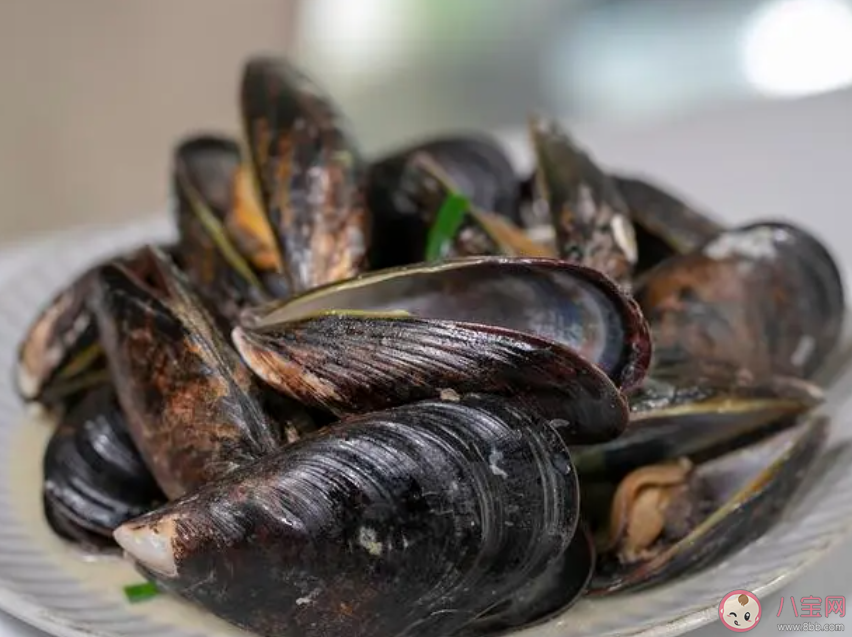 以下哪一項屬于海洋軟體動物 神奇海洋12月15日答案 以下哪一項屬于海洋軟體動物 神奇海洋12月15日答案