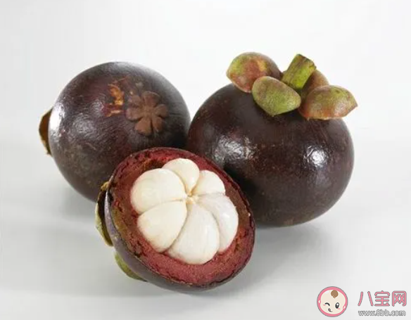 莽吉柿指的是哪種水果 螞蟻莊園12月16日答案