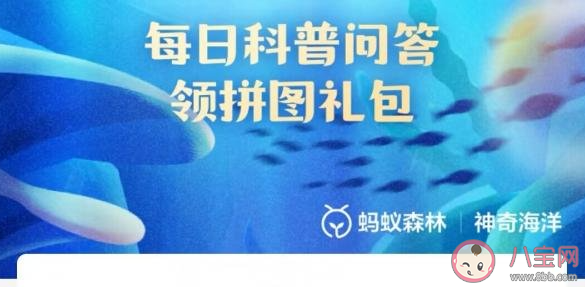 在海洋哺乳動物中唯一能在我國海域自然繁殖的鰭足類是 神奇海洋12月16日答案 在海洋哺乳動物中唯一能在我國海域自然繁殖的鰭足類是 神奇海洋12月16日答案