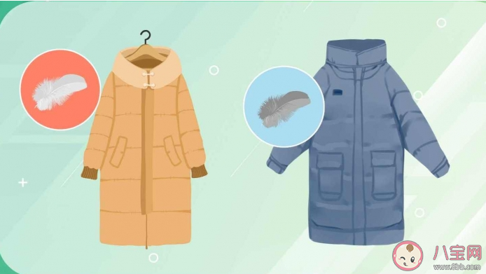 為什么沒有雞絨羽絨服 雞絨能用來做什么 為什么沒有雞絨羽絨服 雞絨能用來做什么