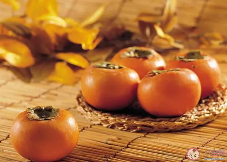 以下哪種水果有鐵桿莊稼之稱 螞蟻莊園12月19日答案 以下哪種水果有鐵桿莊稼之稱 螞蟻莊園12月19日答案